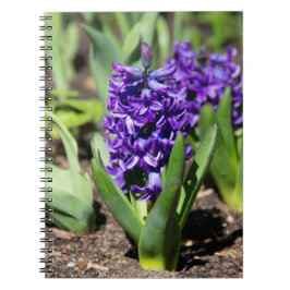 Blauwe regen in de lente notitieboek
