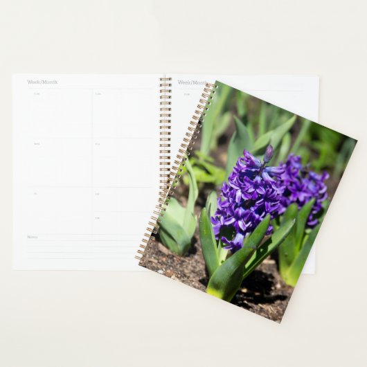 Blauwe regen in de lente planner (Display)