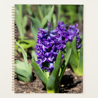 Blauwe regen in de lente planner