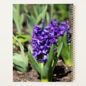 Blauwe regen in de lente planner (Achterkant)