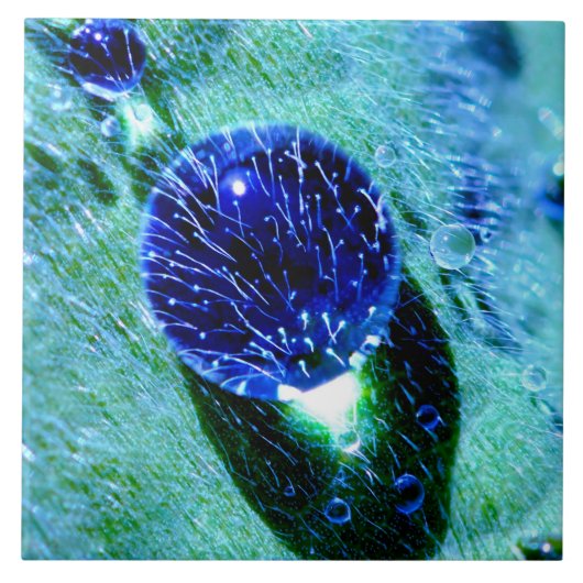 Blauwe regendruppels tegeltje (Voorkant)