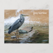 Blauwe Reiger Briefkaart (Voorkant)