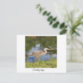 Blauwe reiger briefkaart (Staand voorkant)