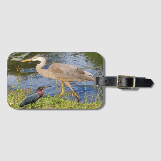 Blauwe reiger en groene reiger bagagelabel (Voorkant (horizontaal))