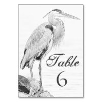 Blauwe reiger en rotsen, Water Vogel Schets Bruilo