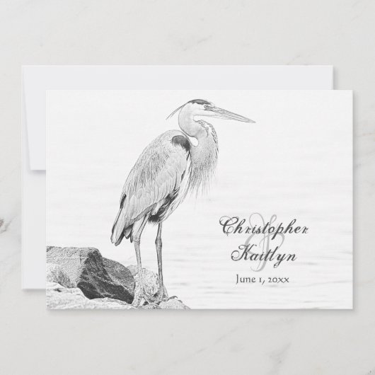 Blauwe reiger en rotsen, Water Vogel Schets Bruilo Kaart (Voorkant)