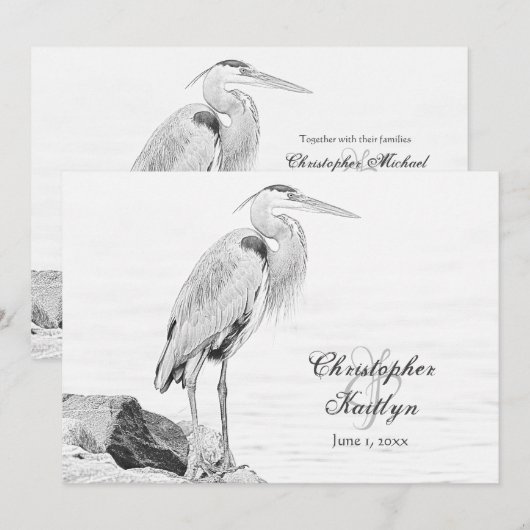 Blauwe reiger en rotsen, Water Vogel Schets Bruilo Kaart (Voorkant / Achterkant)