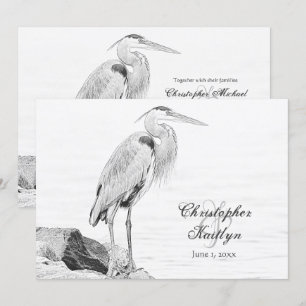 Blauwe reiger en rotsen, Water Vogel Schets Bruilo Kaart