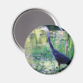 Blauwe reiger in vijver magneet (Voorkant / Achterkant)