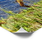 Blauwe reiger perfect poster (Hoek)