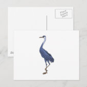 blauwe reiger vogel briefkaart (Voorkant / Achterkant)