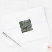 Blauwe reiger Vogel Florida Wetlands Foto Vierkante Sticker (Envelop)