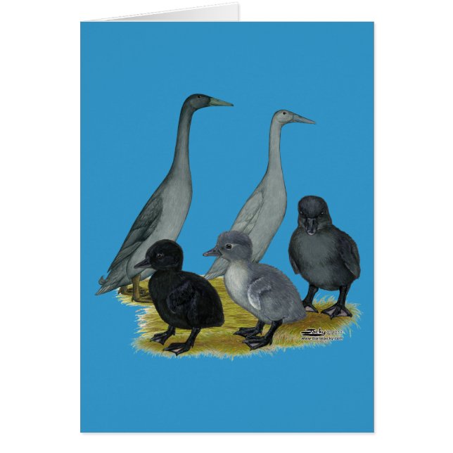 Blauwe Ren Eend Familie (Voorkant)