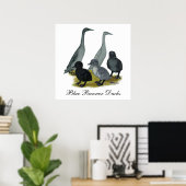 Blauwe Ren Eend Familie Poster (Thuiskantoor)
