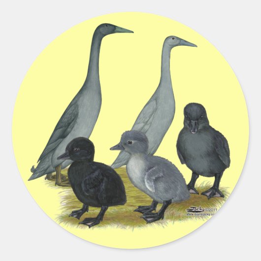 Blauwe Ren Eend Familie Ronde Sticker (Voorkant)