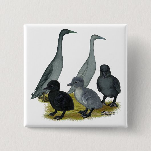 Blauwe Ren Eend Familie Vierkante Button 5,1 Cm (Voorkant)