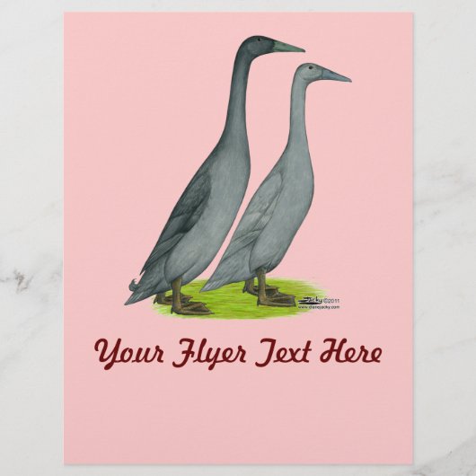 Blauwe Ren-eenden Flyer (Voorkant)