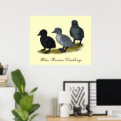 Blauwe Ren Eendjes Poster (Thuiskantoor)