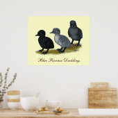 Blauwe Ren Eendjes Poster (Keuken)