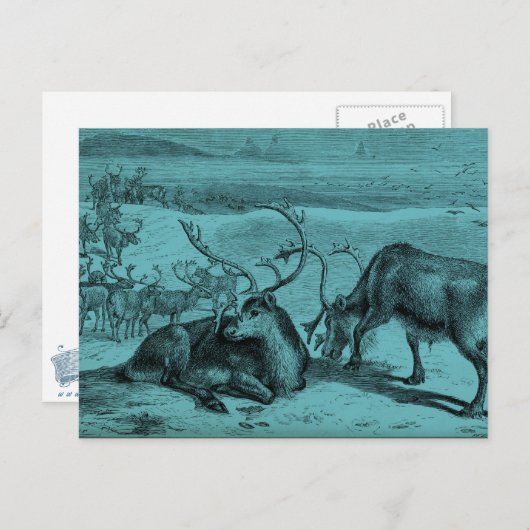 Blauwe rendierillustratie briefkaart (Voorkant / Achterkant)