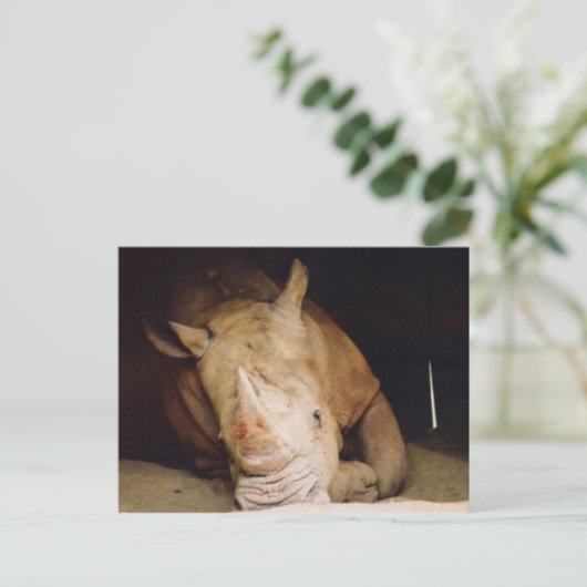 blauwe rhino briefkaart (Staand voorkant)