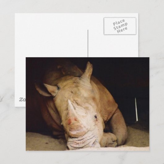 blauwe rhino briefkaart (Voorkant / Achterkant)