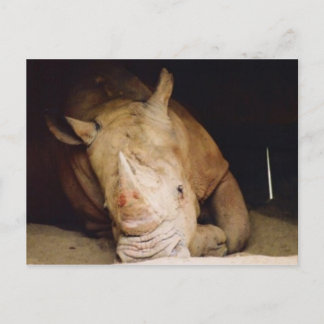 blauwe rhino briefkaart