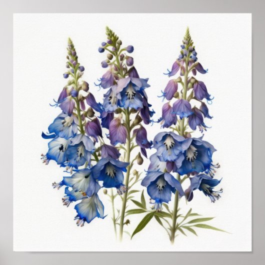 Blauwe Ridderspoor Bloem Kunstprint Poster (Voorkant)
