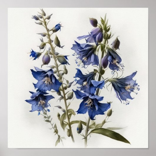 Blauwe Ritterspoor Bloem Kunstprint Poster (Voorkant)