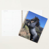 Blauwe Roan paardenfokkerij in de woestijn Planner (Display)