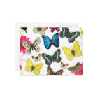  blauwe rode gele kleurige vlinders