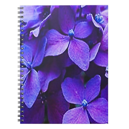 Blauwe Rode Hortensia Notitieboek (Voorkant)