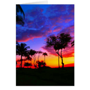 Blauwe Rode Zonnezon Exotische Hawaiian Beach Palm