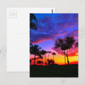 Blauwe Rode Zonnezon Exotische Hawaiian Beach Palm Briefkaart (Voorkant / Achterkant)