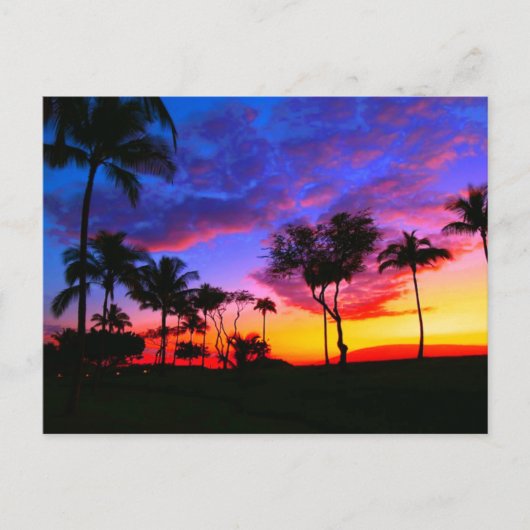 Blauwe Rode Zonnezon Exotische Hawaiian Beach Palm Briefkaart (Voorkant)