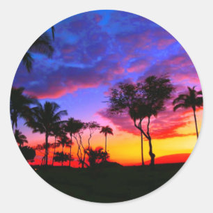 Blauwe Rode Zonnezon Exotische Hawaiian Beach Palm Ronde Sticker