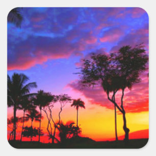Blauwe Rode Zonnezon Exotische Hawaiian Beach Palm Vierkante Sticker