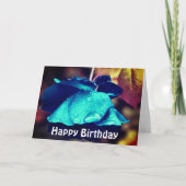 Blauwe Roos Bloem Fotografie Birthday Kaart (Voorkant)