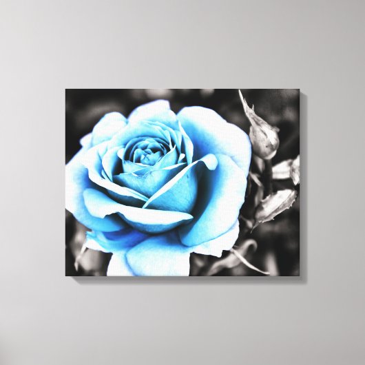 blauwe roos canvas afdruk (Voorkant)