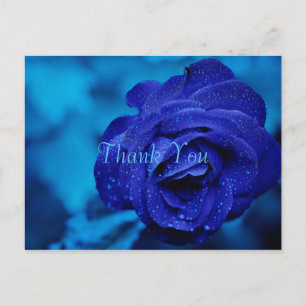 Blauwe Roos Dank Je Briefkaart