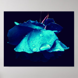Blauwe Roos Lingering Raindrops Abstracte Vloerkun Poster