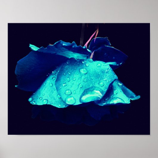 Blauwe Roos Lingering Raindrops Abstracte Vloerkun Poster (Voorkant)