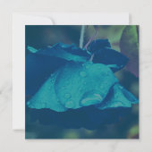 Blauwe Roos Met Regendruppels Bloem Kaart (Achterkant)