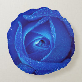 Blauwe roos rond kussen