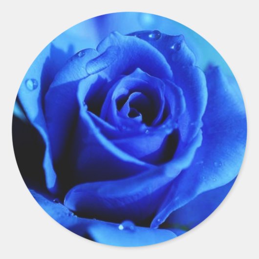 Blauwe roos sticker (Voorkant)