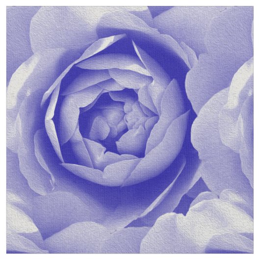 Blauwe roos stof (Close Up)