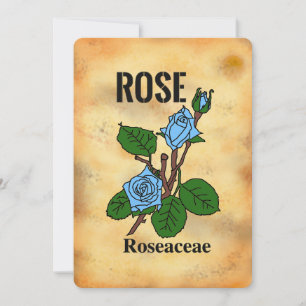 Blauwe roos verouderde papierstijl lijnkunst Plat