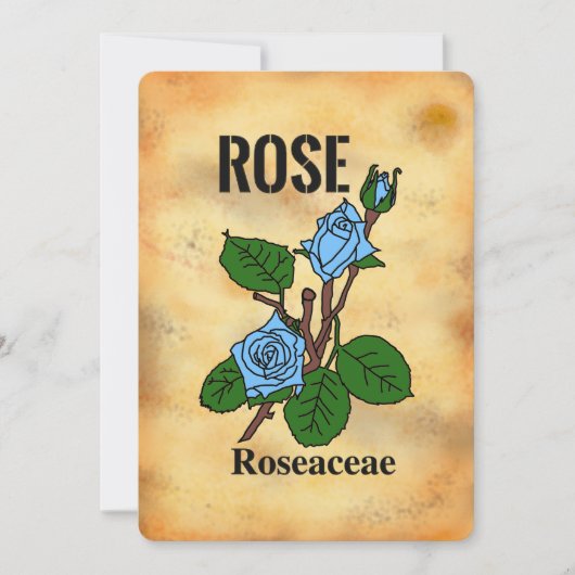 Blauwe roos verouderde papierstijl lijnkunst Plat (Voorkant)