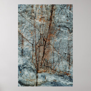 Blauwe rots poster