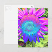 Blauwe roze funky retro zonnebloem briefkaart (Voorkant / Achterkant)